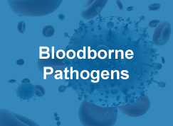 Thumbnail to a course sample titled Bloodborne Pathogens